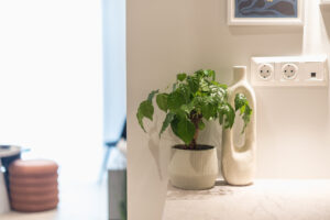 Exclusive Suite - argolidos3 (argo3)